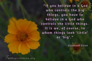 Beautiful yellow flower and a quote from Elizabeth Elliot God controls the little things too.