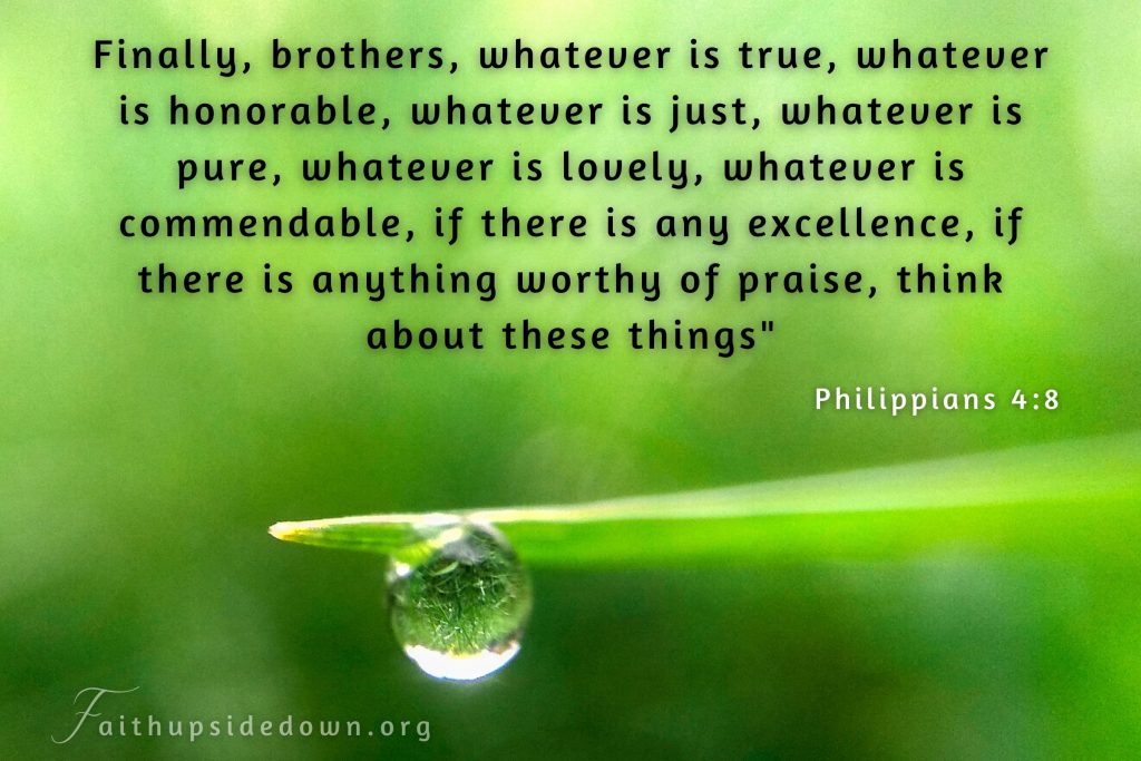 pure water droplet hanging on grass stem and scripture verse Philippians 4_8