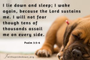 Sleeping puppy with Bible verse Psalm 3_5_6