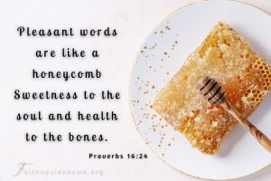 honeycomb with scripture verse psalm 16:24