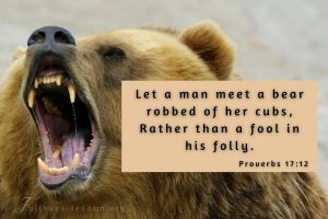 angry grizzley bear and the scripture verse proverbs 17:12