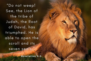 A strong lion with the verse Revelation 5:5