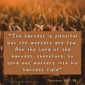 Wheat field and the Scripture verse Matthew 9:37-38