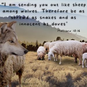 A wolf looking hungrily at a flock of sheep with the Scripture verse Matthew 10:16