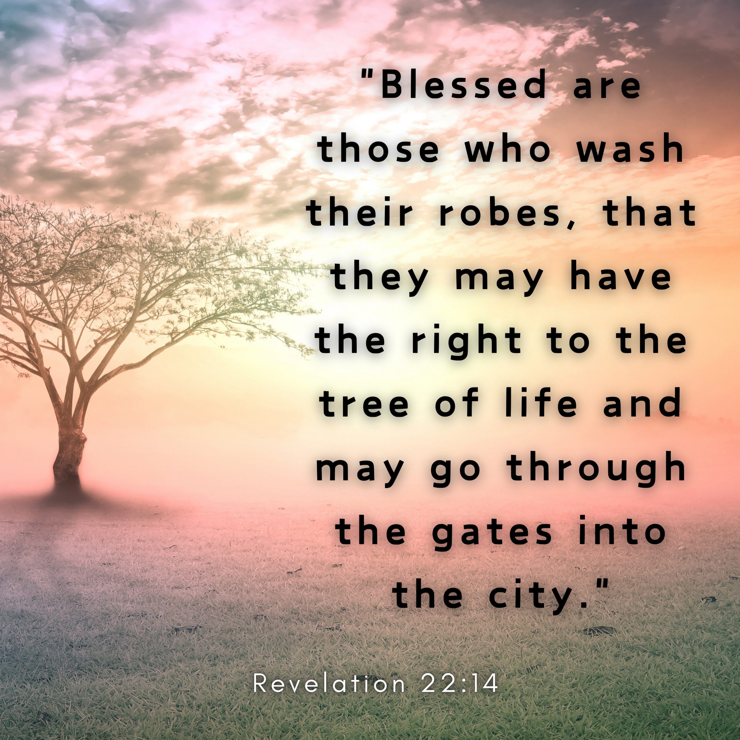 Blessed Are Those Who Wash Their Robes