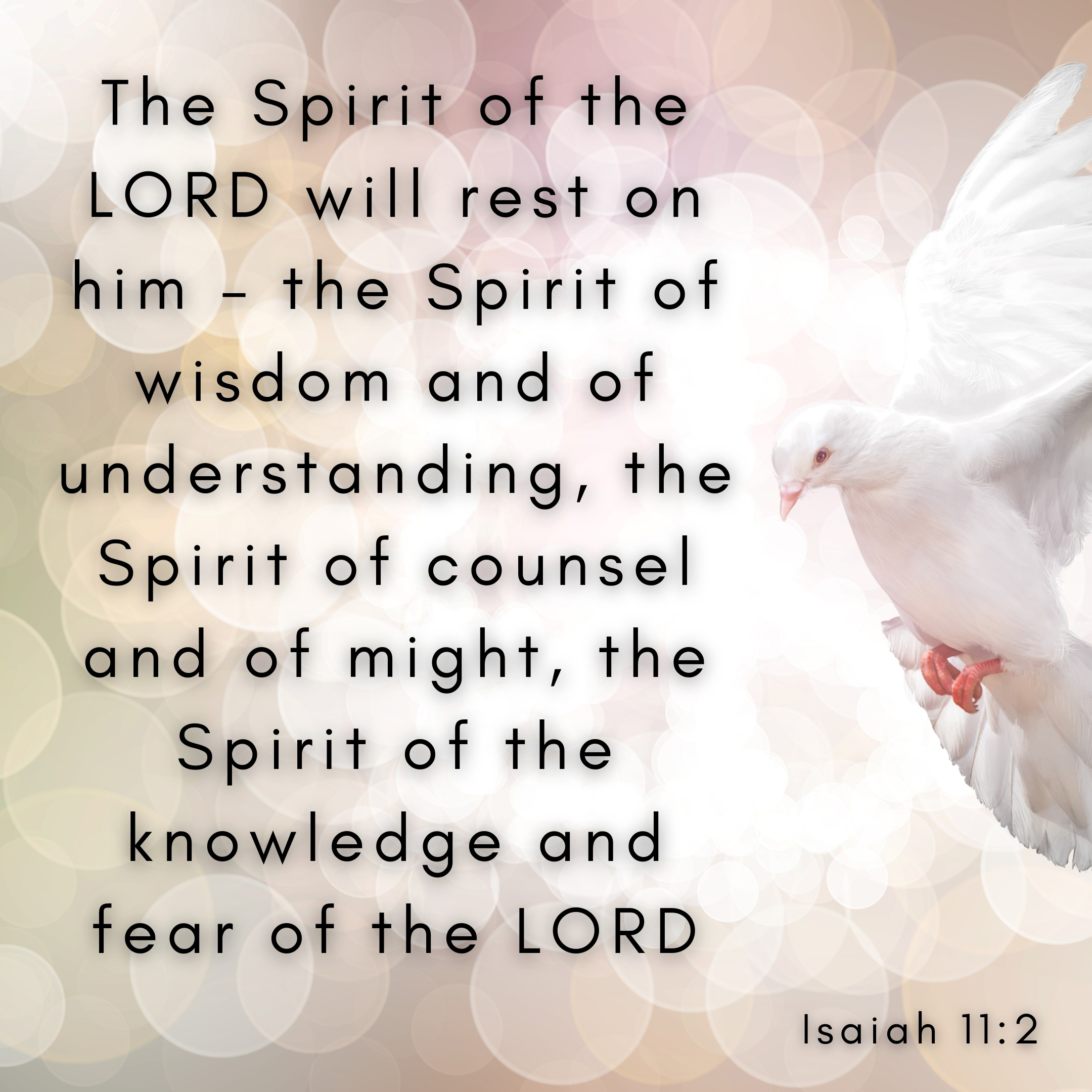 Unleashing the Spirit’s Power: A Devotional on Isaiah 11:2