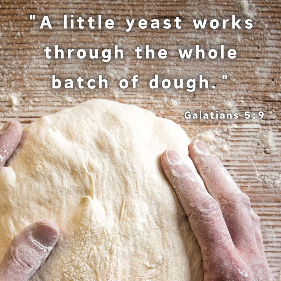 Conquering the Yeast